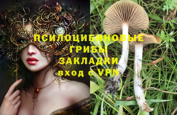 стафф Горнозаводск