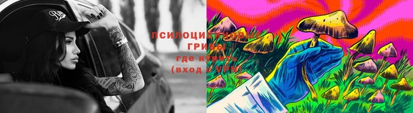 прущий лед Горняк