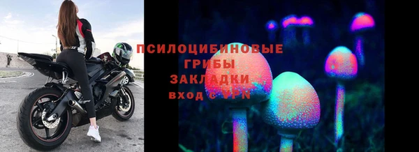 стафф Горнозаводск
