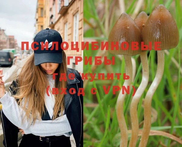 стафф Горнозаводск