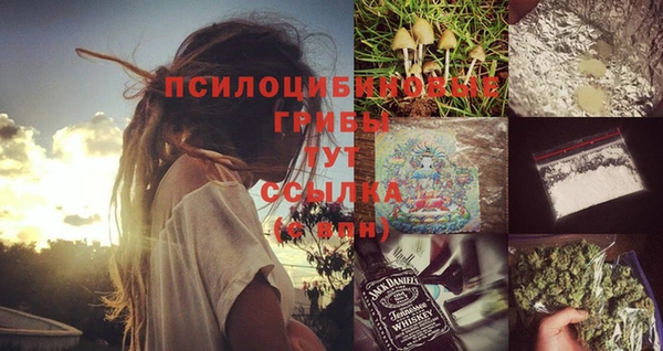 прущий лед Горняк