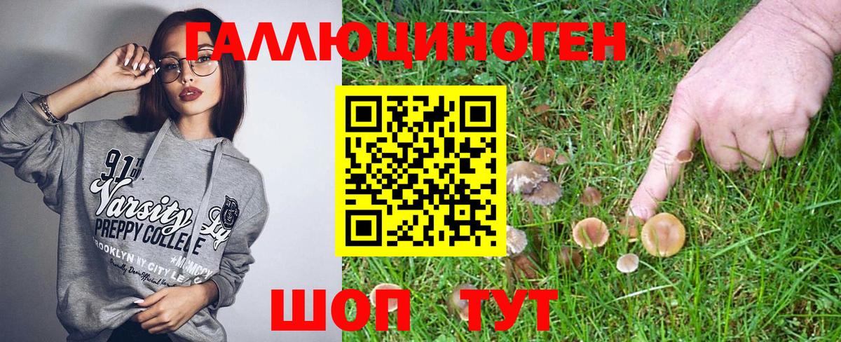 Псилоцибиновые грибы GOLDEN TEACHER  Выкса 