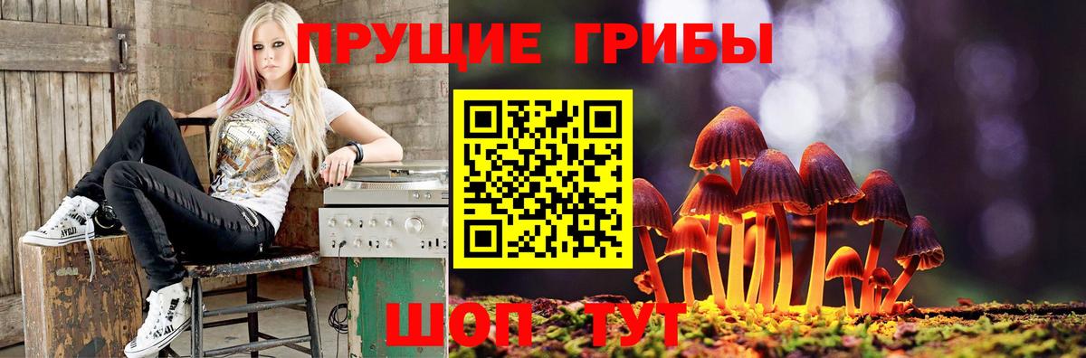 Галлюциногенные грибы GOLDEN TEACHER Выкса