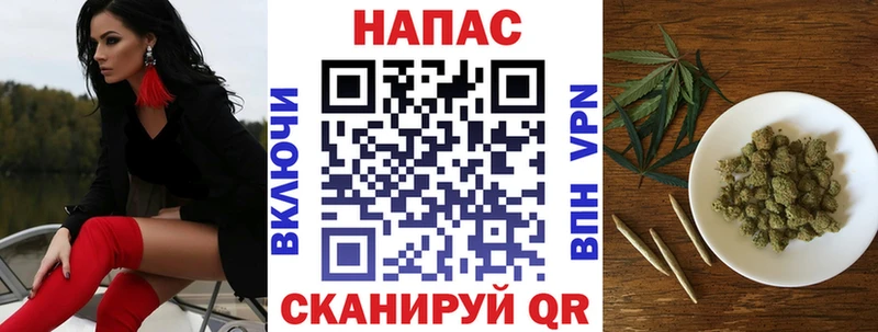 Канабис сатива  Выкса 