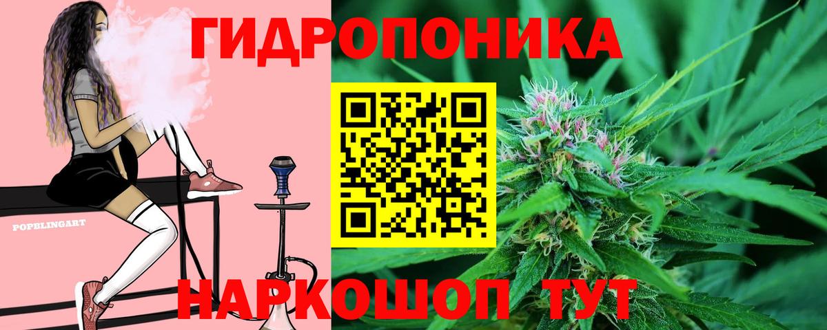 Выкса  Бошки марихуана марихуана  Бошки марихуана план  Вход с VPN  Шишки марихуана семена 